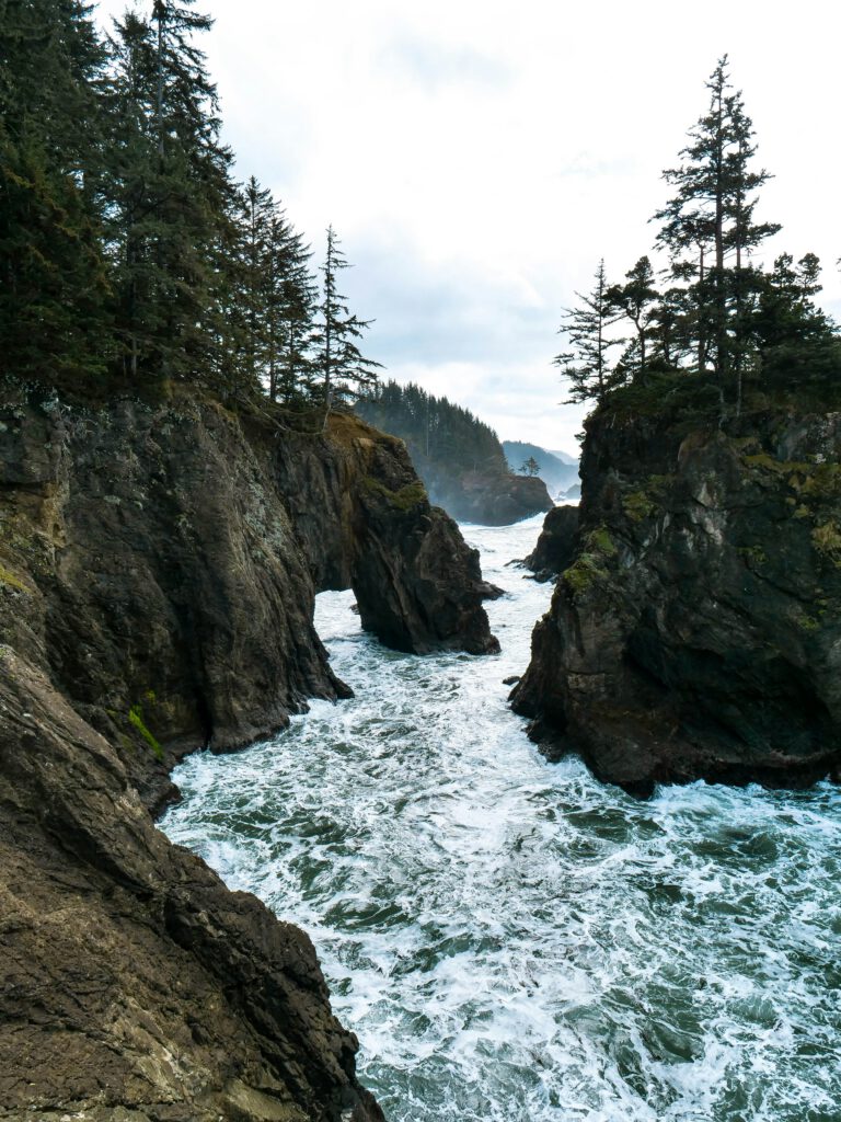 A solid rock outcrop standing firm near a body of water with waves. | Therapy for boundaries and people-pleasing helping you stand grounded in Portland, Oregon